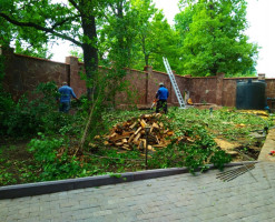 Профессиональный бассейн для частного участка